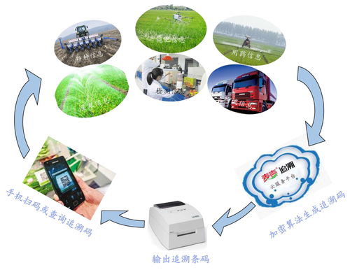 蔬菜農(nóng)產(chǎn)品追溯系統(tǒng)定制開(kāi)發(fā)